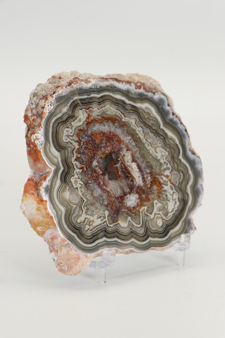 Mexican Crazy Lace Agate Slab DS1019