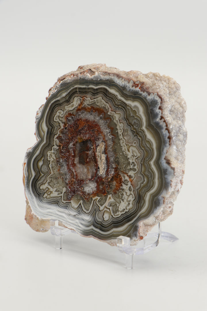 Mexican Crazy Lace Agate Slab DS1019