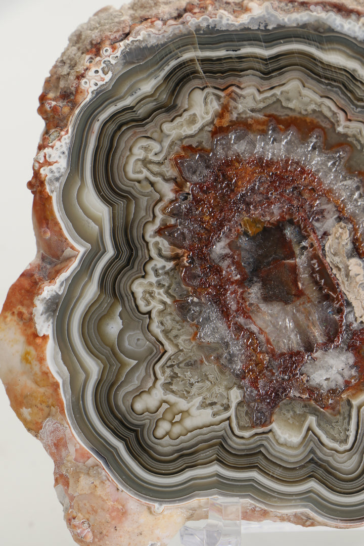 Mexican Crazy Lace Agate Slab DS1019