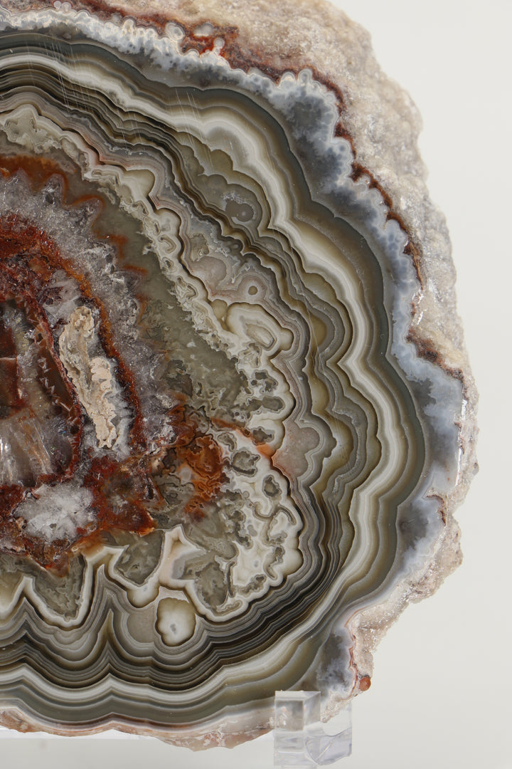Mexican Crazy Lace Agate Slab DS1019