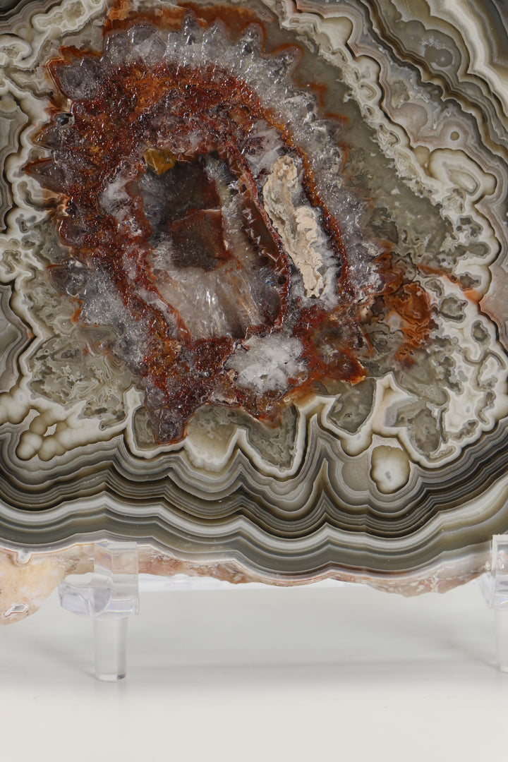 Mexican Crazy Lace Agate Slab DS1019