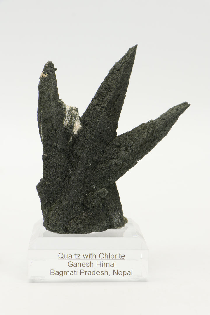 Chlorite Included Quartz Cluster - Ganesh Himal TF2339