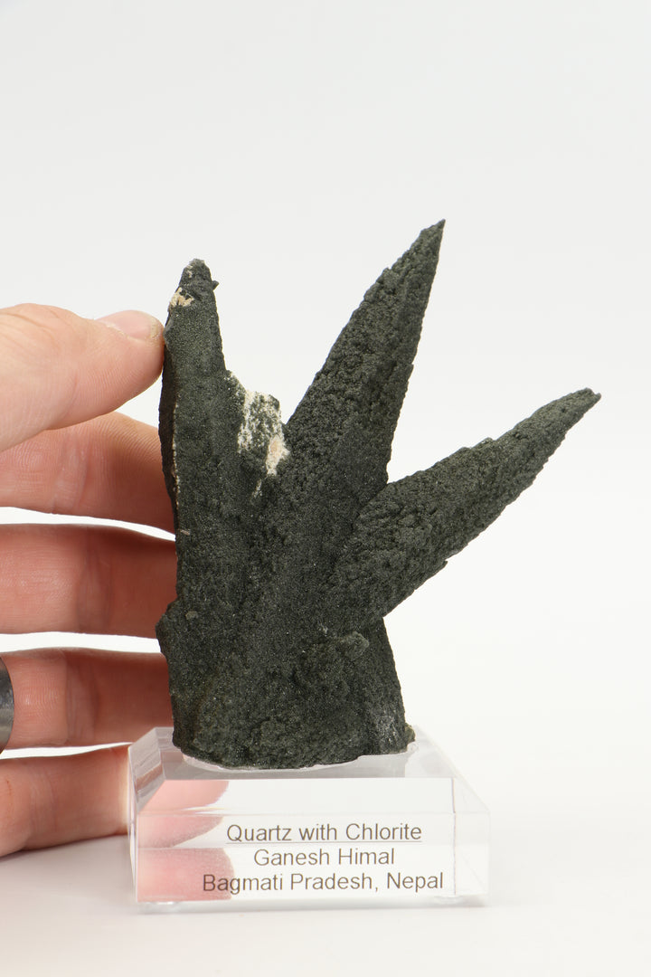 Chlorite Included Quartz Cluster - Ganesh Himal TF2339