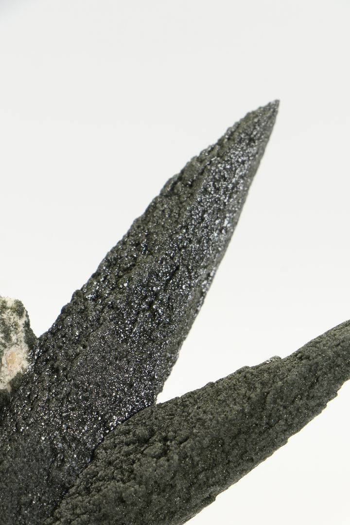 Chlorite Included Quartz Cluster - Ganesh Himal TF2339