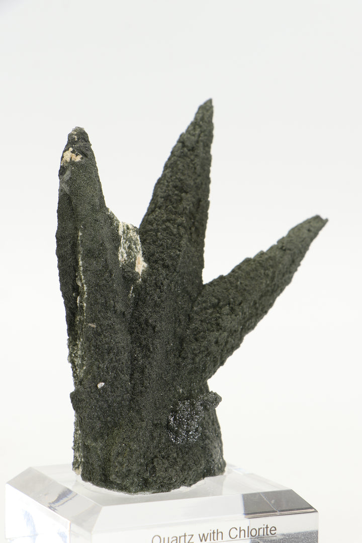 Chlorite Included Quartz Cluster - Ganesh Himal TF2339