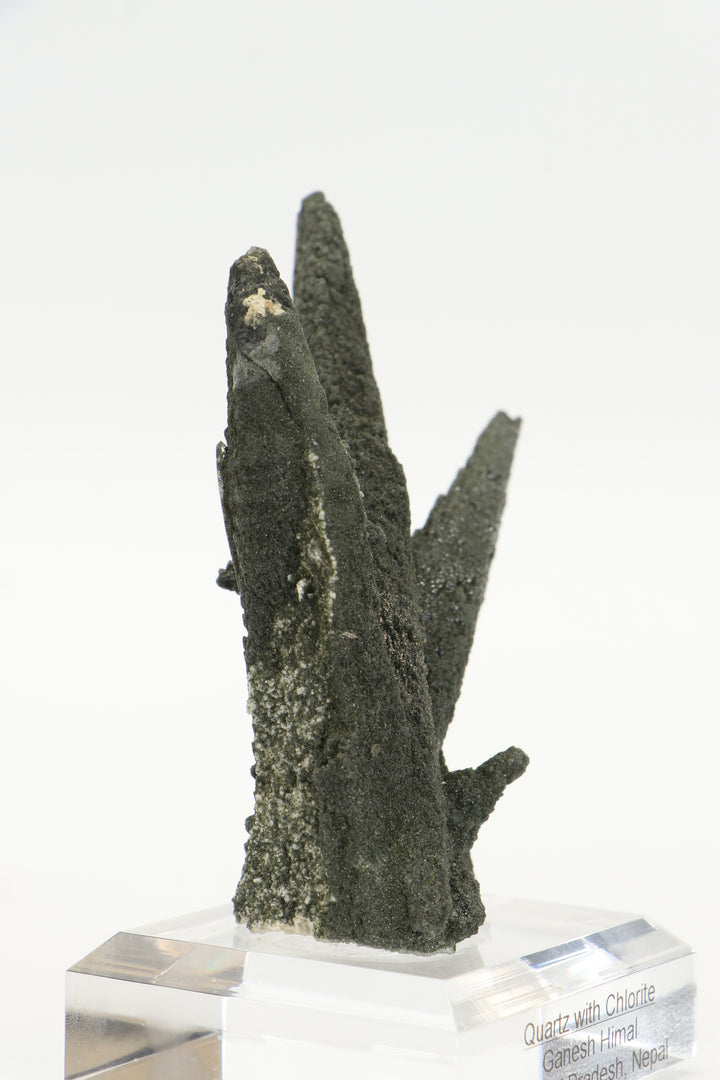 Chlorite Included Quartz Cluster - Ganesh Himal TF2339