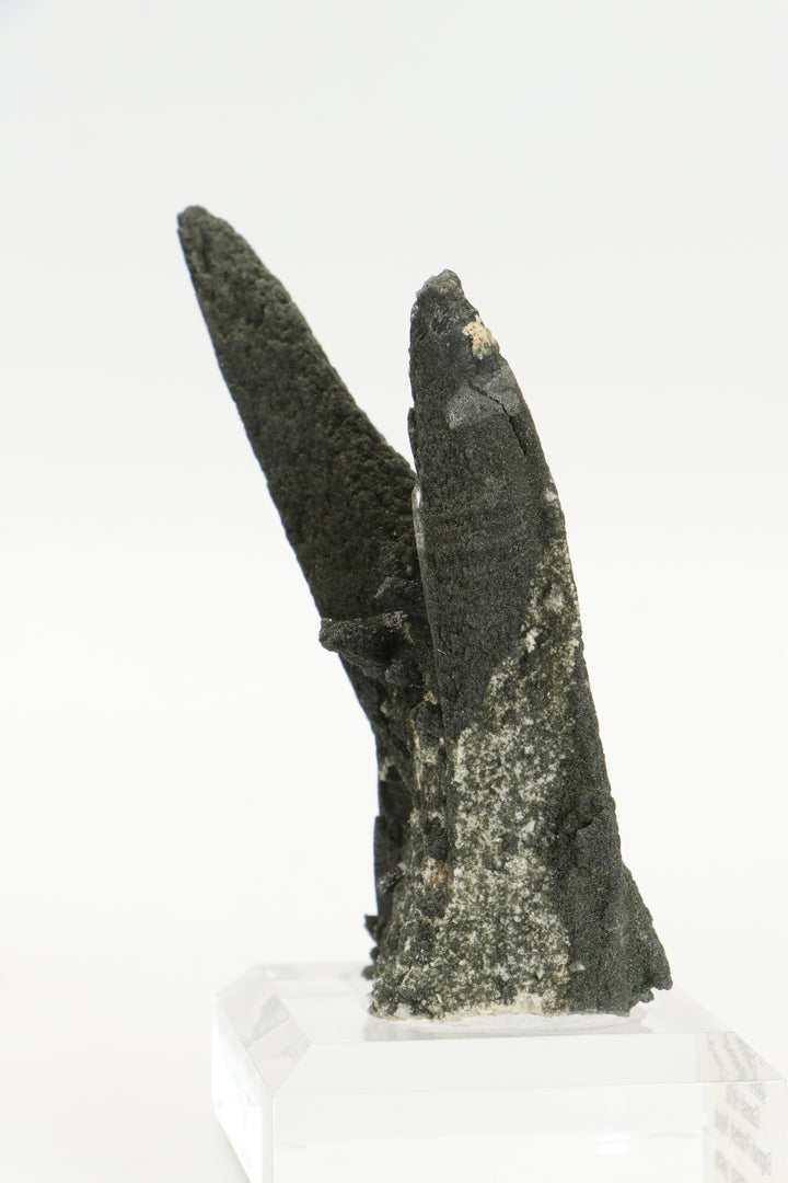 Chlorite Included Quartz Cluster - Ganesh Himal TF2339
