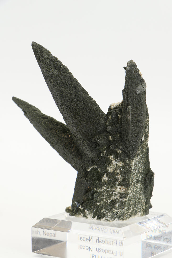 Chlorite Included Quartz Cluster - Ganesh Himal TF2339