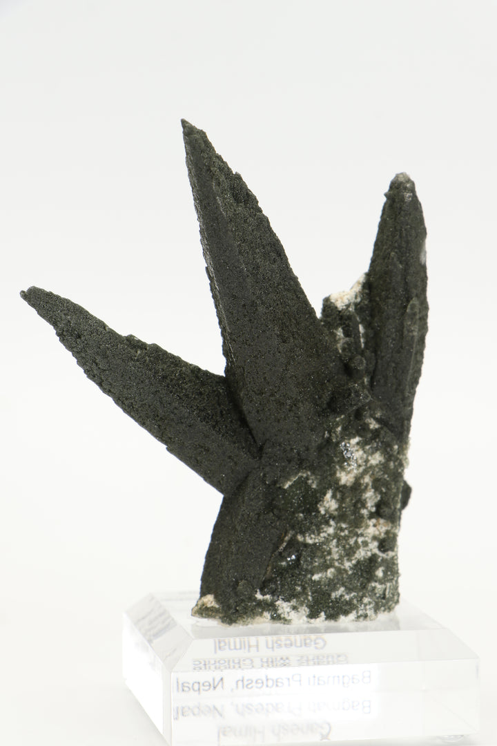 Chlorite Included Quartz Cluster - Ganesh Himal TF2339