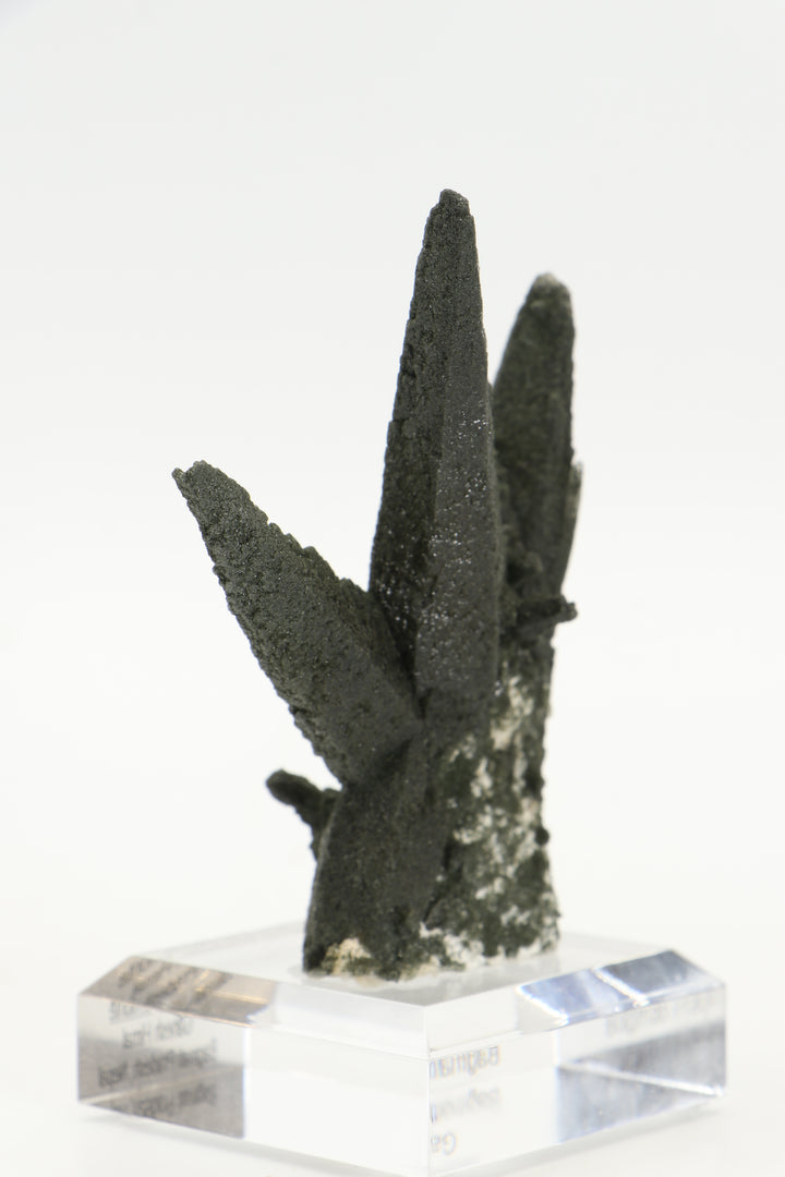 Chlorite Included Quartz Cluster - Ganesh Himal TF2339