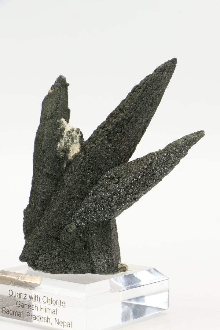 Chlorite Included Quartz Cluster - Ganesh Himal TF2339