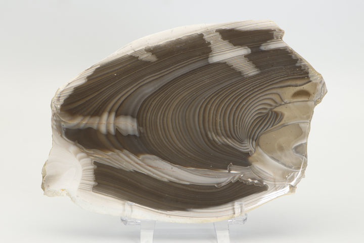 7" Polish Striped Flint Slab