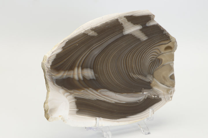 7" Polish Striped Flint Slab