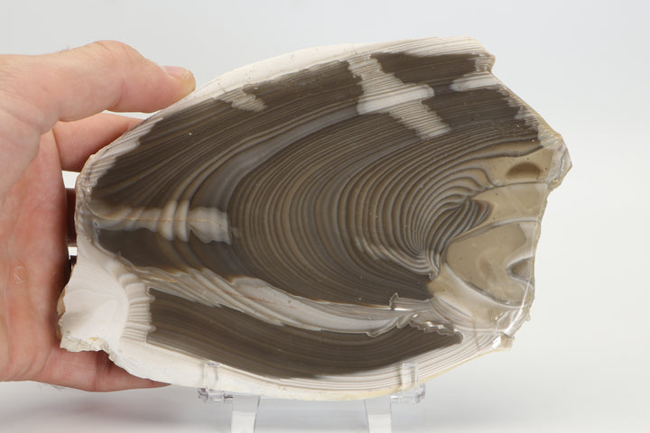 7" Polish Striped Flint Slab