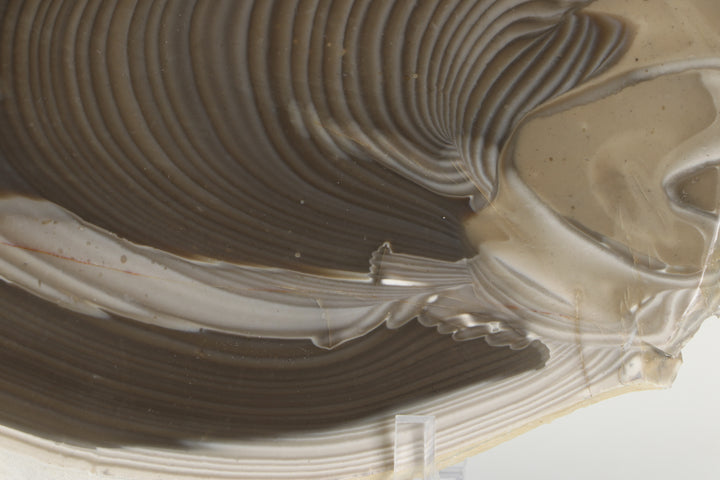 7" Polish Striped Flint Slab
