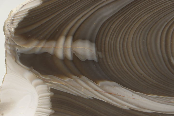 7" Polish Striped Flint Slab