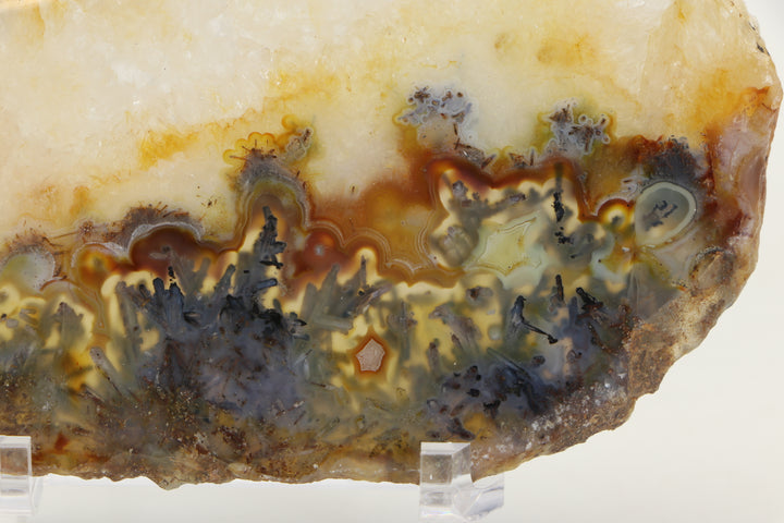 Trent Agate Slab DS1092