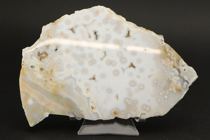 Ocean Jasper Slab - Madagascar TF2881