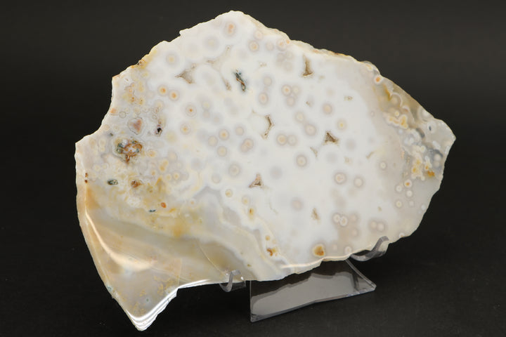 Ocean Jasper Slab - Madagascar TF2881