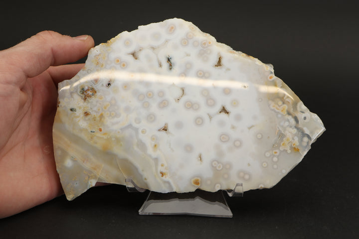 Ocean Jasper Slab - Madagascar TF2881