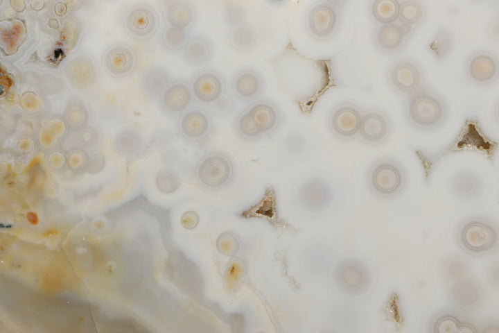Ocean Jasper Slab - Madagascar TF2881