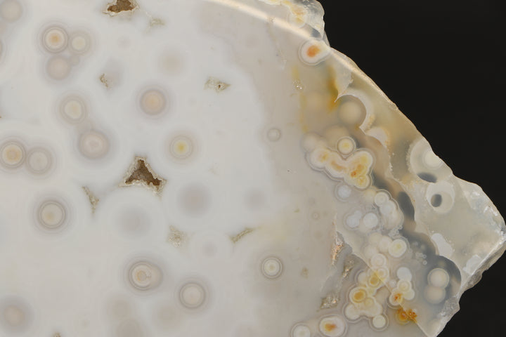 Ocean Jasper Slab - Madagascar TF2881