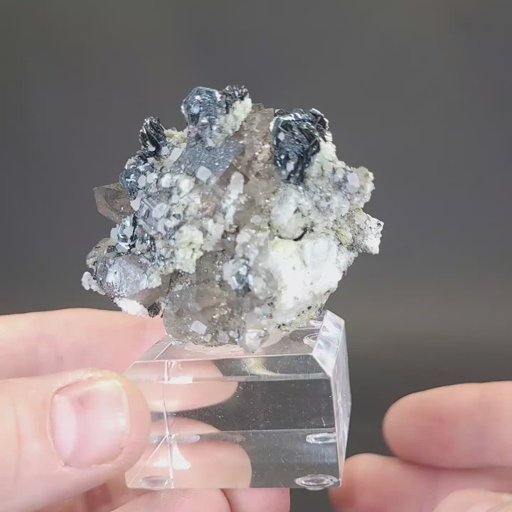 Fluorite and Hematite Rosettes on Smoky Quartz TD2878