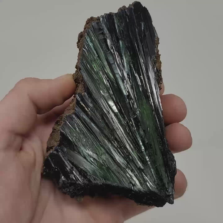 Brazilian Vivianite Specimen DM776