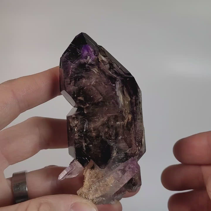 4" Shangaan Amethyst Scepter with Moving Enhydro TU133