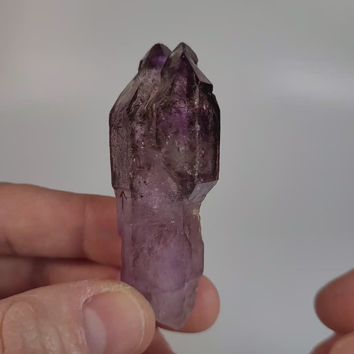 2.75" Shangaan Amethyst Scepter with 2 Enhydros TU2960