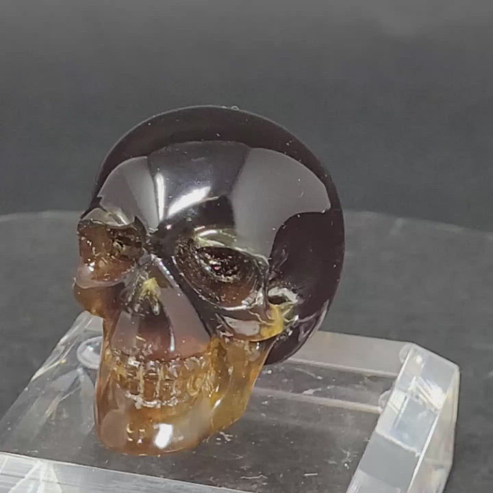 1.5" Dominican Amber Skull TU3674