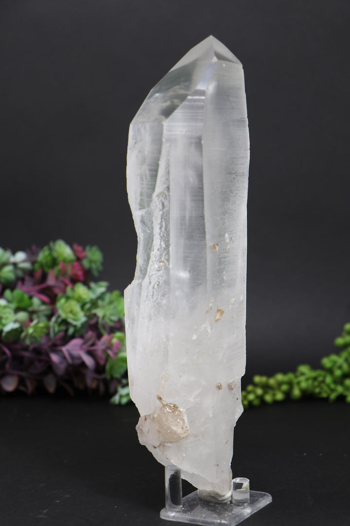 8.5" Lemurian AB1244
