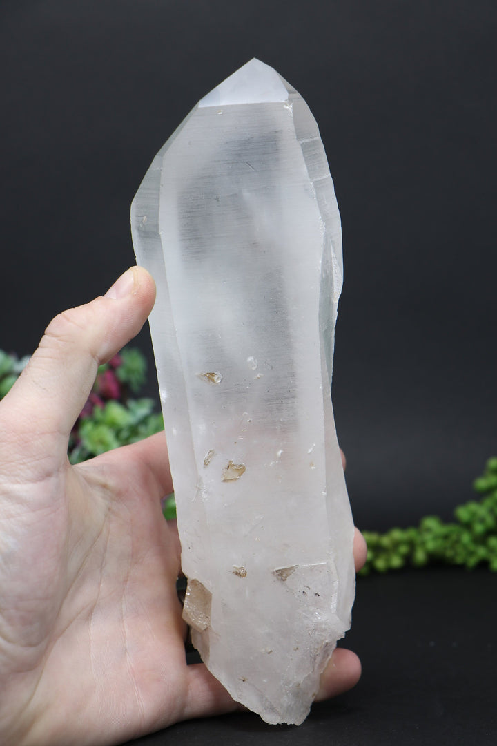 8.5" Lemurian AB1244