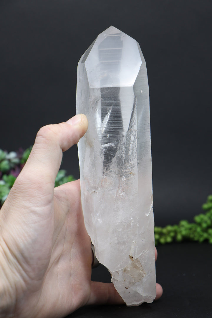 8.5" Lemurian AB1244