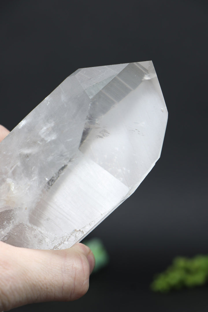 8.5" Lemurian AB1244