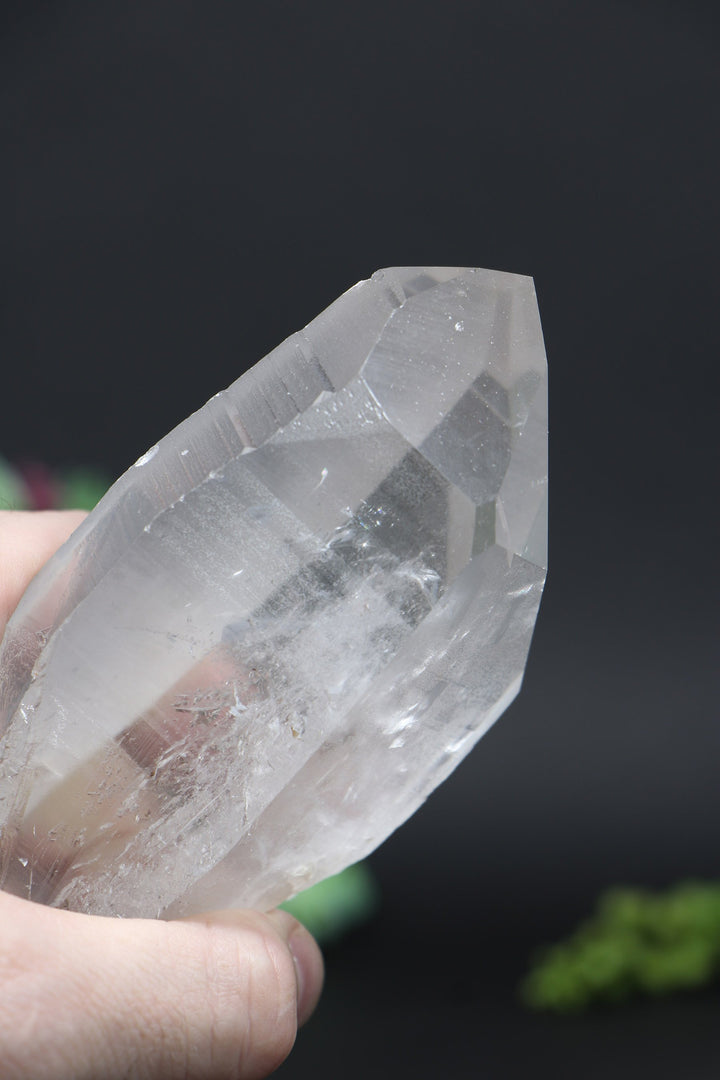 8.5" Lemurian AB1244