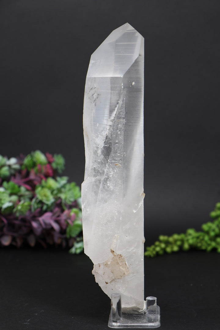 8.5" Lemurian AB1244