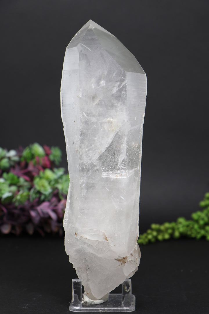 8.5" Lemurian AB1244