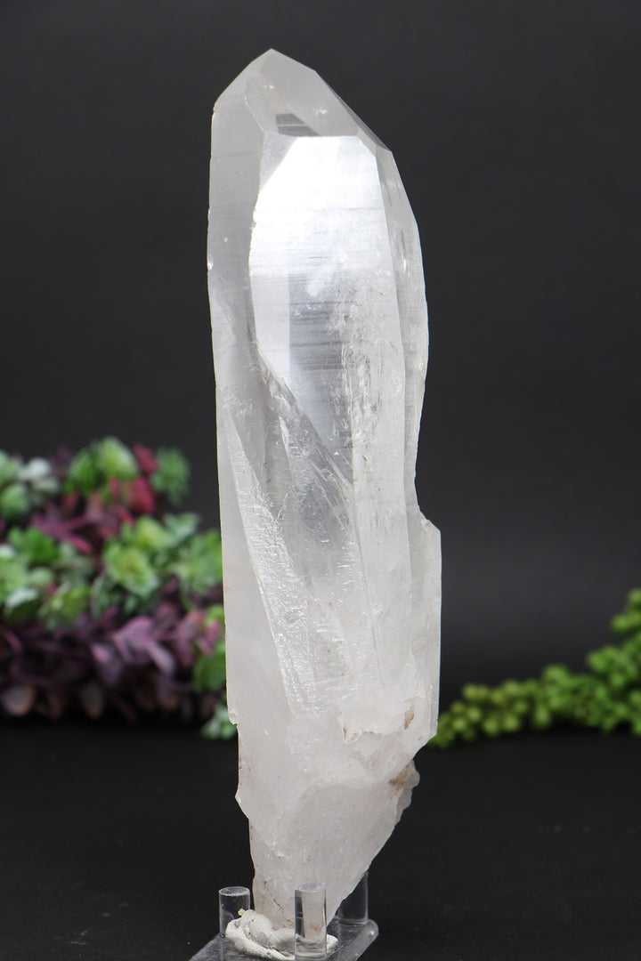 8.5" Lemurian AB1244