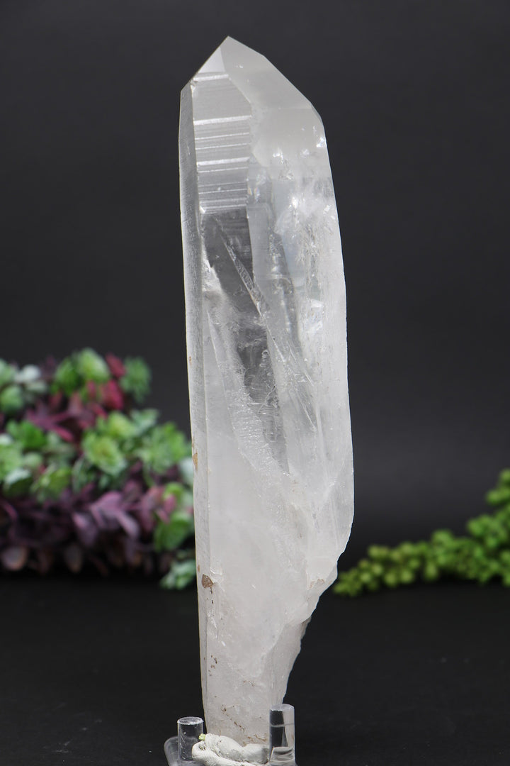 8.5" Lemurian AB1244