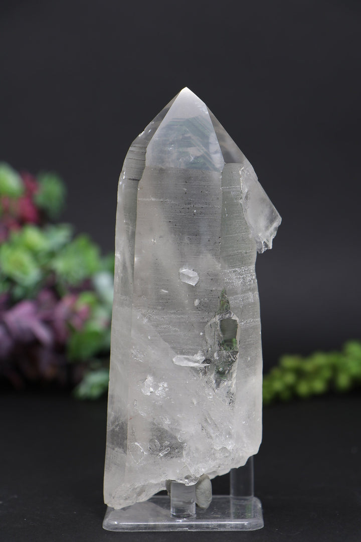 5.5" Lemurian AB1247