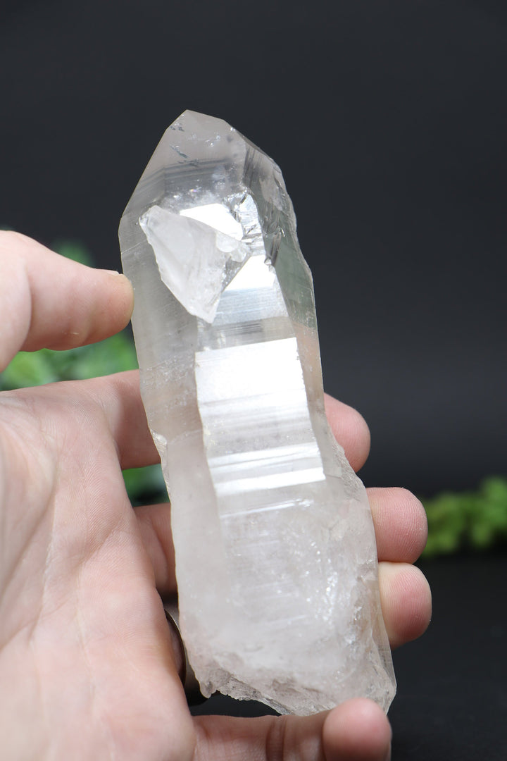 5.5" Lemurian AB1247