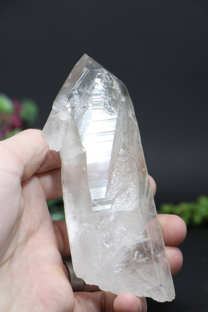 5.5" Lemurian AB1247