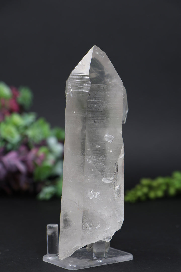 5.5" Lemurian AB1247