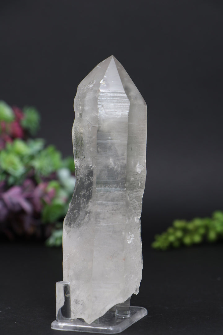 5.5" Lemurian AB1247