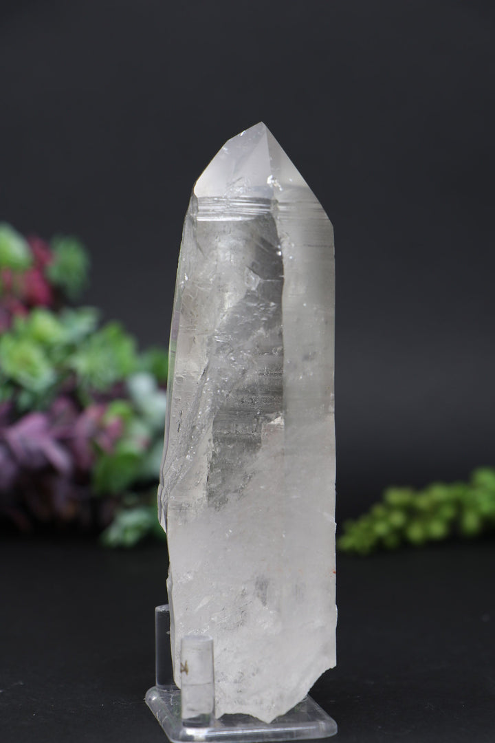 5.5" Lemurian AB1247