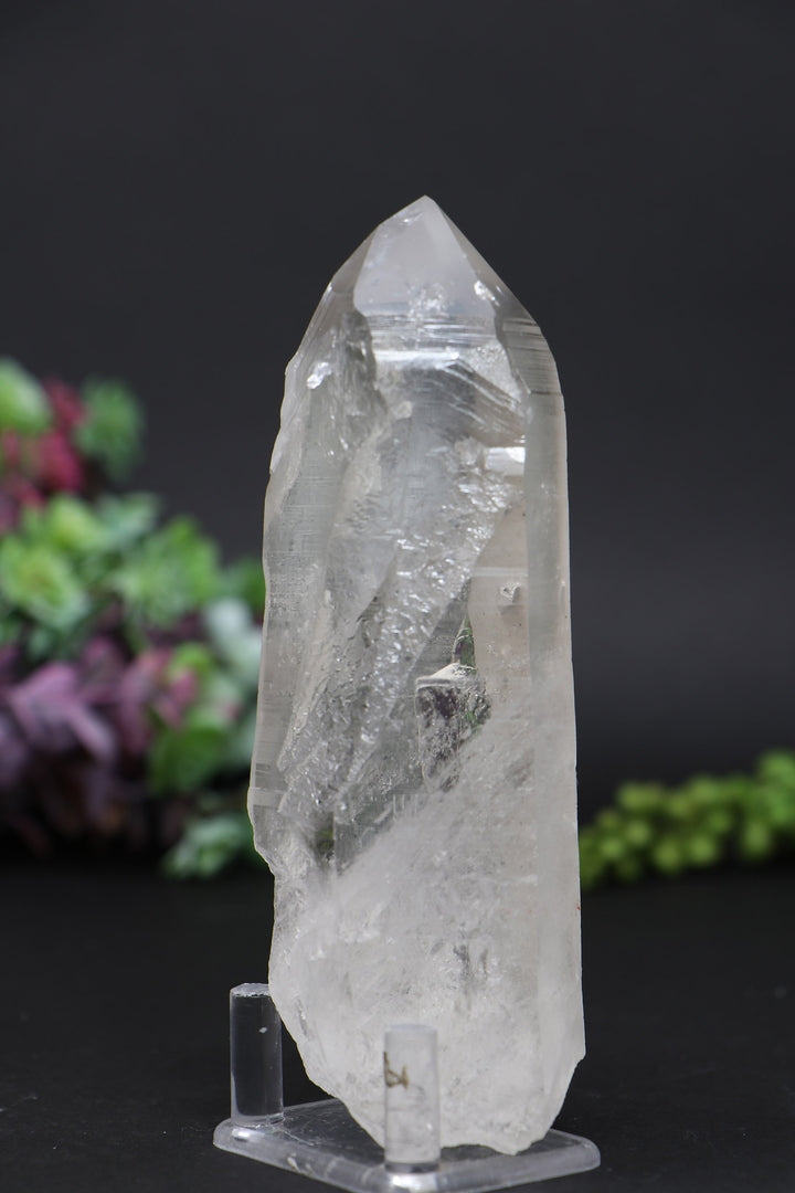 5.5" Lemurian AB1247