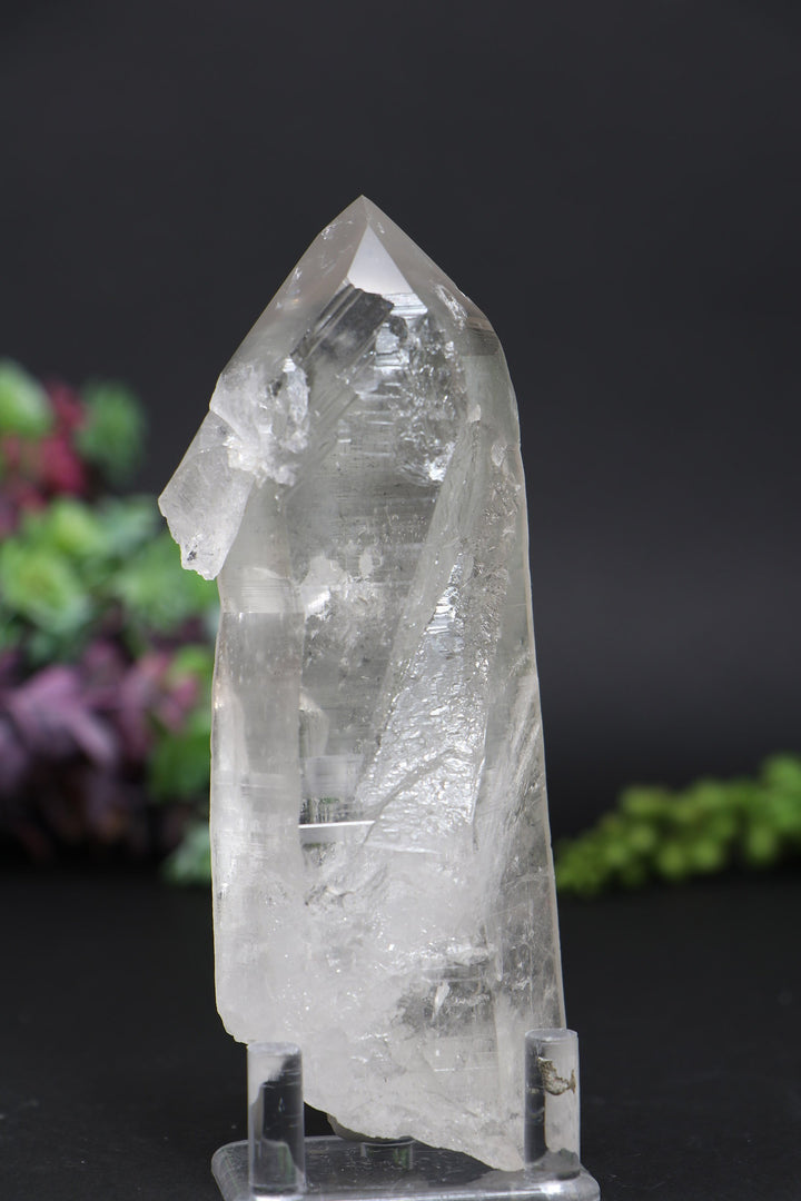 5.5" Lemurian AB1247