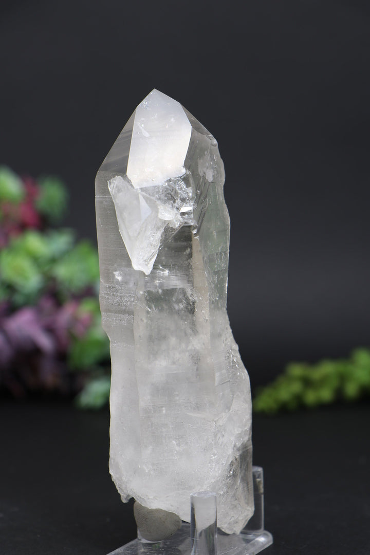 5.5" Lemurian AB1247
