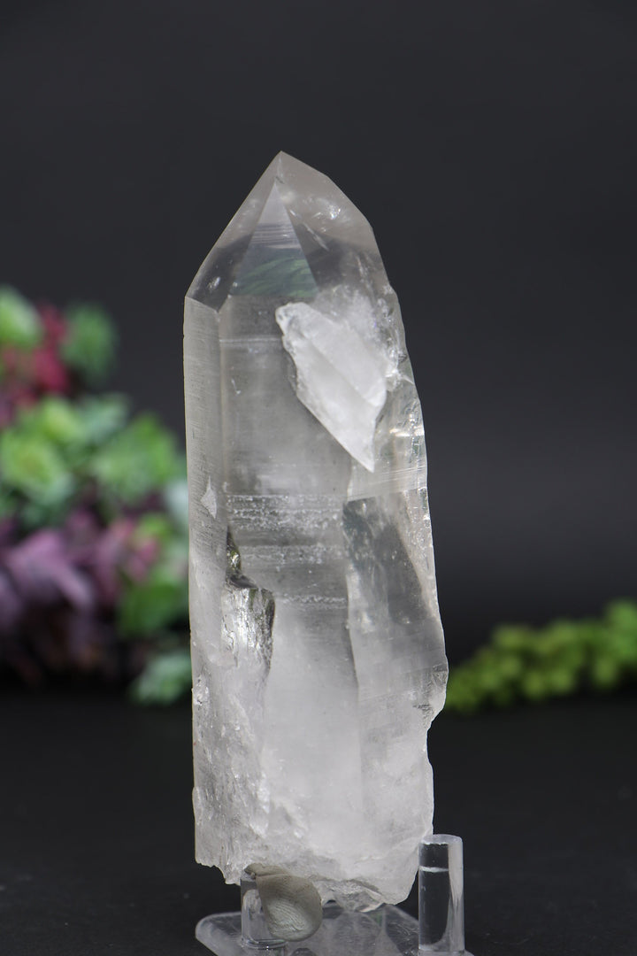 5.5" Lemurian AB1247
